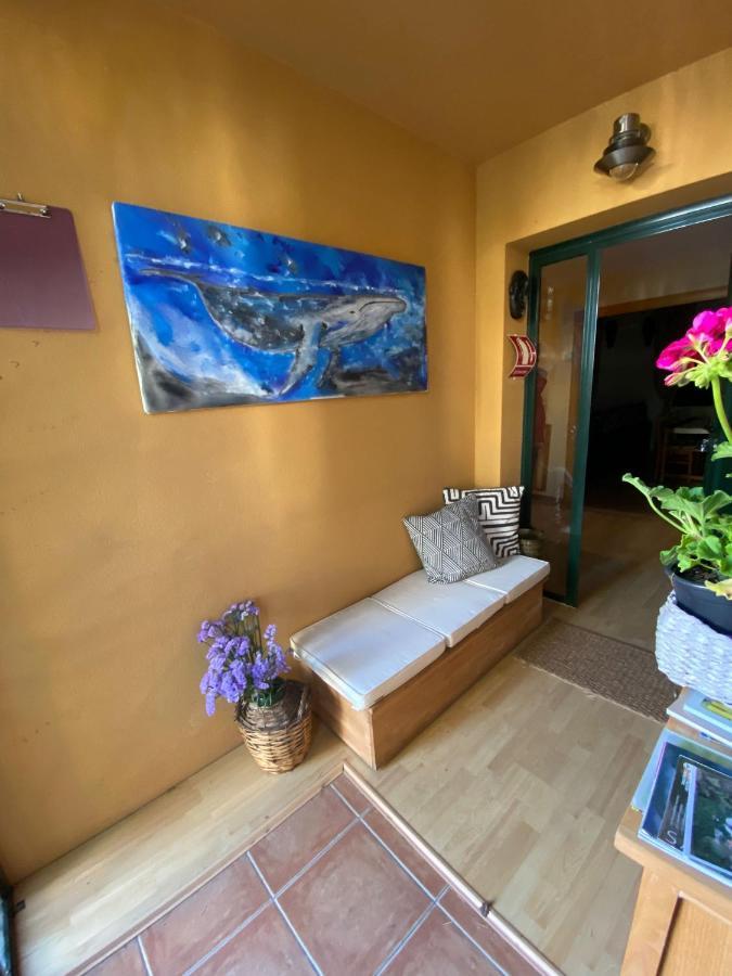 Casa Loureal Ribeira Sacra Ourense Luaran gambar